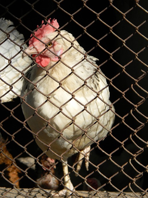 僅突破了轉 僅突破了轉