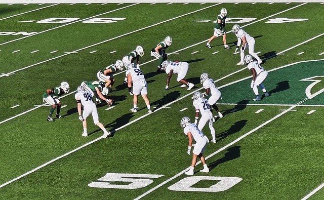 始利用人工 始利用人工