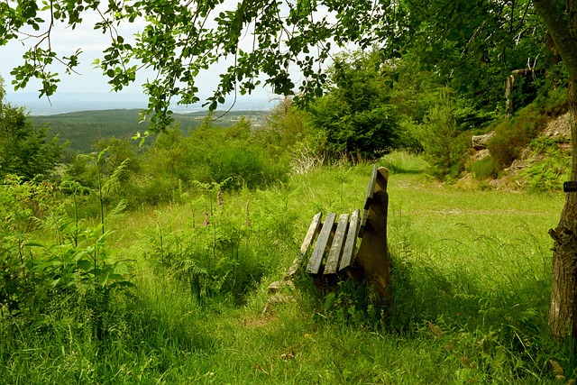 祖巴茨与另 祖巴茨与另